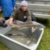 Fischbesatz 2024